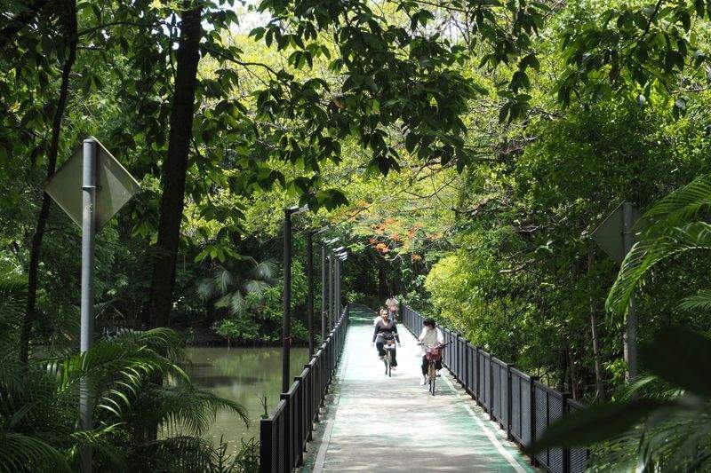 サイクリングエクスプレス株式会社 - Image 2