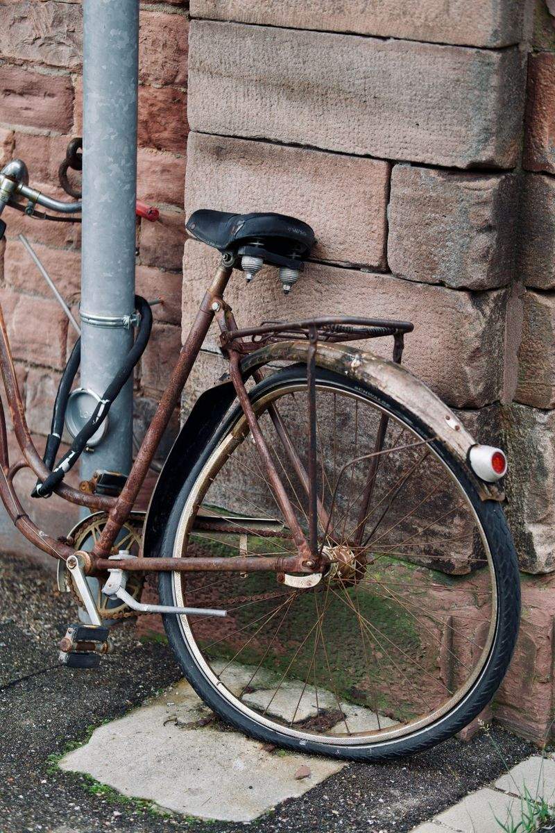 サイクリングエクスプレス株式会社 - Image 7