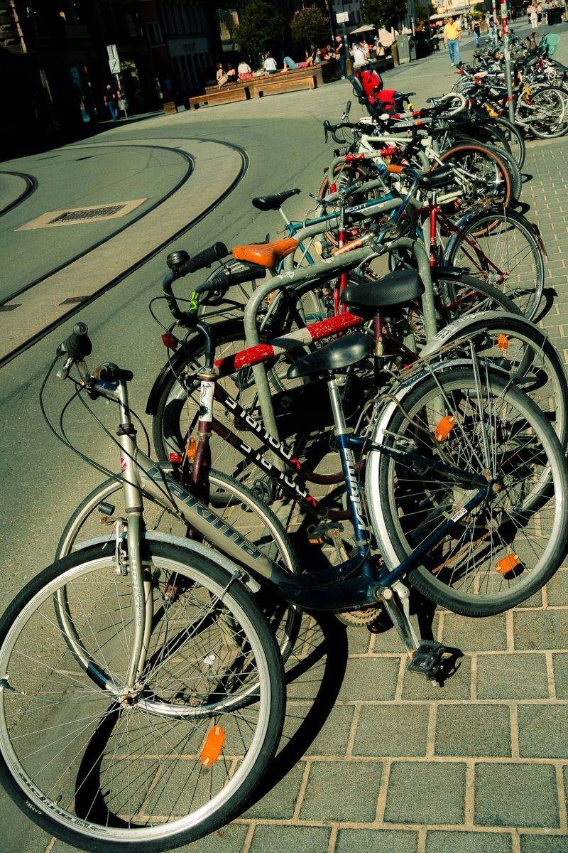 サイクリングツアー